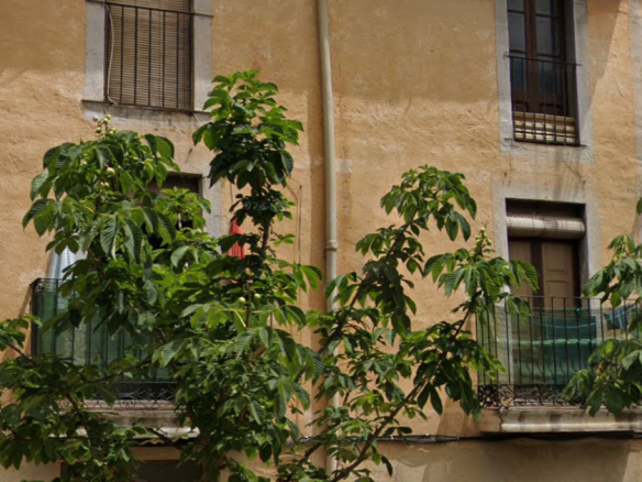 Casa adosada en C/ Estenedor – Arbúcies – Girona